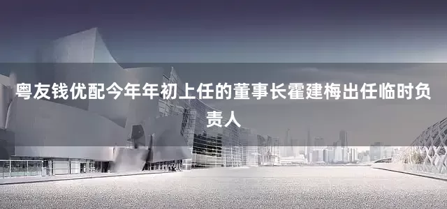 粤友钱优配今年年初上任的董事长霍建梅出任临时负责人