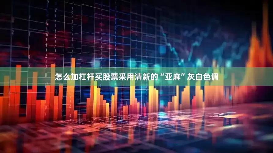 怎么加杠杆买股票采用清新的“亚麻”灰白色调