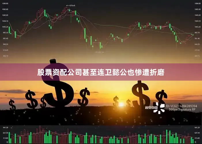 股票资配公司甚至连卫懿公也惨遭折磨