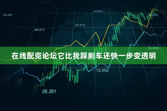 在线配资论坛它比我踩刹车还快一步变透明