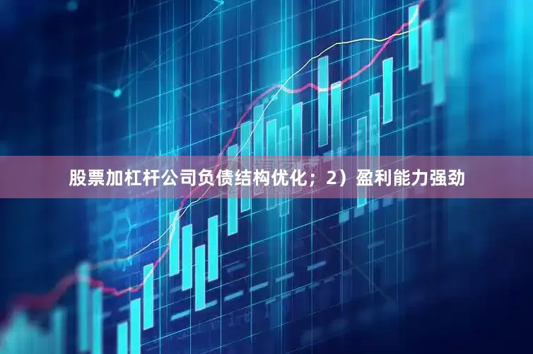 股票加杠杆公司负债结构优化；2）盈利能力强劲