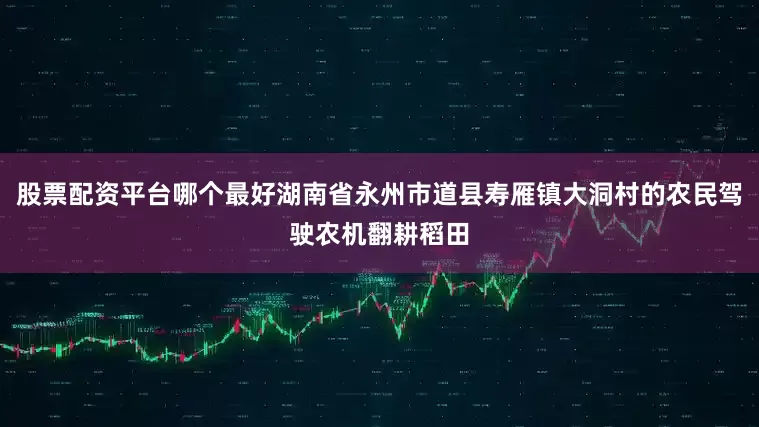 股票配资平台哪个最好湖南省永州市道县寿雁镇大洞村的农民驾驶农机翻耕稻田
